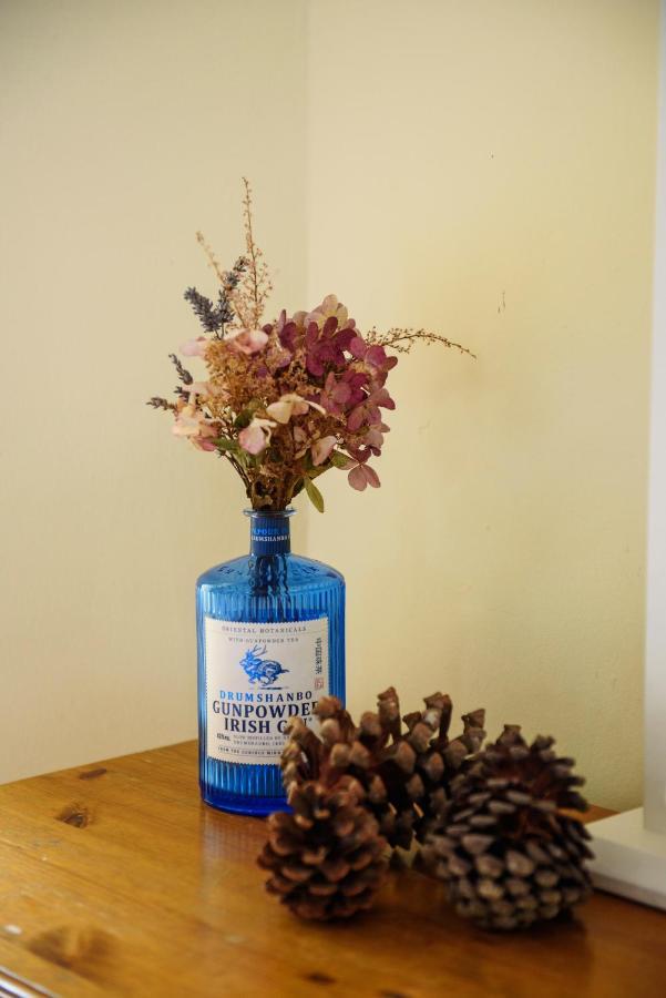 Waterfront Self Catering Houses Carrick on Shannon Εξωτερικό φωτογραφία