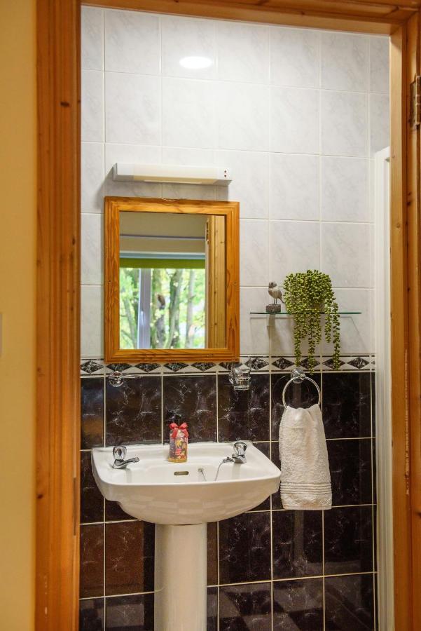 Waterfront Self Catering Houses Carrick on Shannon Εξωτερικό φωτογραφία
