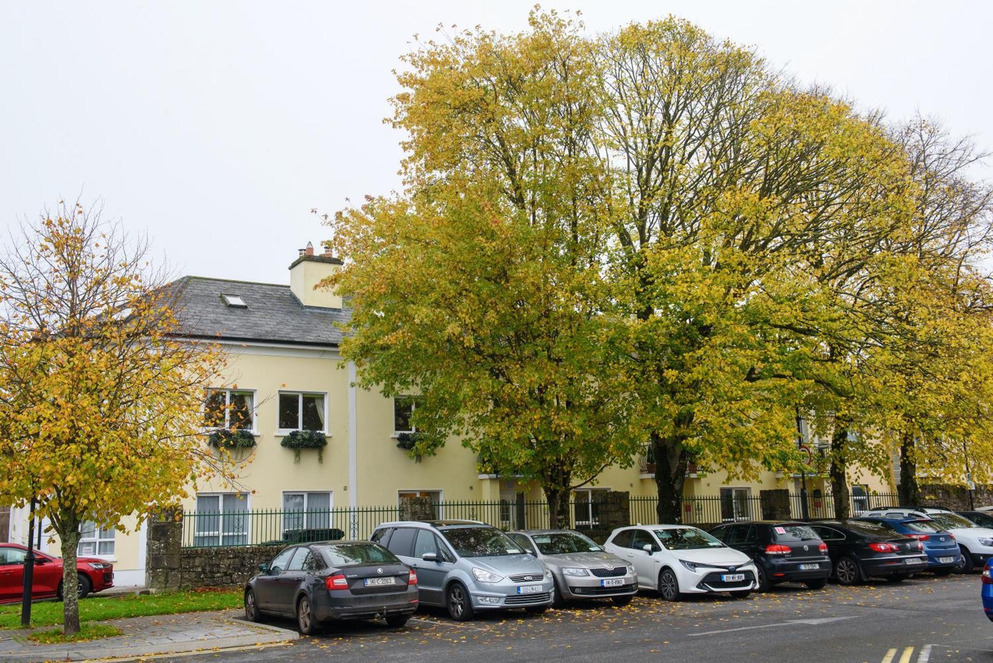 Waterfront Self Catering Houses Carrick on Shannon Εξωτερικό φωτογραφία